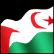 3D Western Sahara Flag