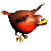 Booty bird