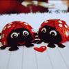 Ladybugs in love